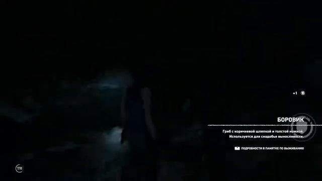 Новая игра?TOMB RAIDER прохождение №1 смотреть онлайн