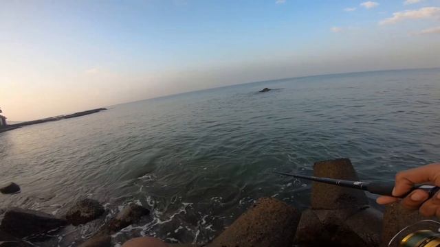 Huge Snapper On Gfin Crazy Shrimp Light Tackle / Goa Fishing / India Fishing