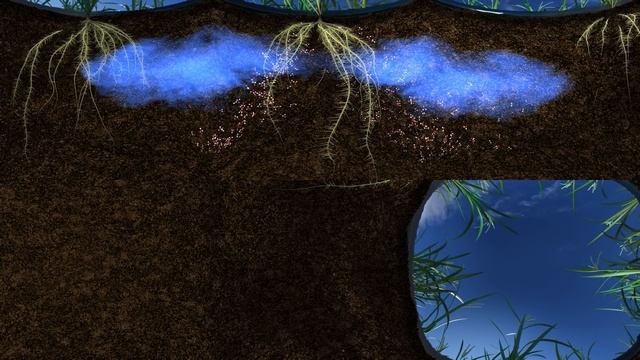 The Living Soil: How Unseen Microbes Affect the Food We Eat (360 Video) смотреть онлайн