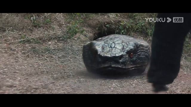 卷成麻花！捉蛇大师布下陷阱诱捕巨蛇！ 【变异巨蟒 Mutant Python】 | 惊悚/剧情 | 经典大本营 смотреть онлайн