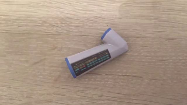 Snow Miku Papercraft