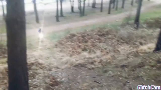 ПОДЪЁМ НА ПИТБАЙКЕ В ГОРКУ #3 смотреть онлайн