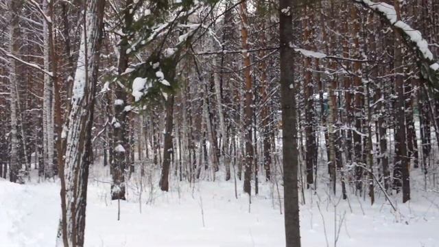 берлога медведя смотреть онлайн