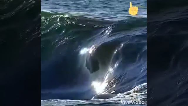 Самое красивое море🤓🤓 смотреть онлайн