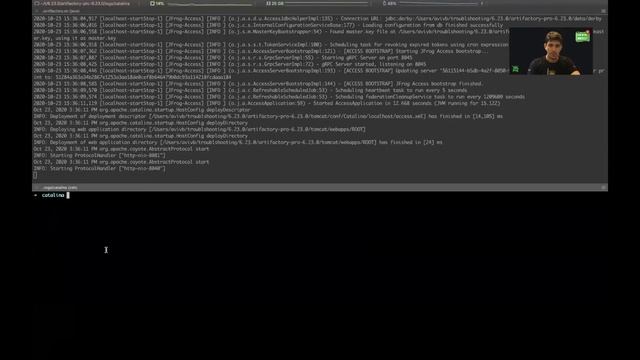 How to troubleshoot Artifactory during startup? смотреть онлайн