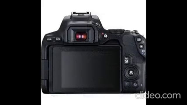 Цифровой зеркальный фотоаппарат Canon EOS 250D Kit 18-55 IS STM смотреть онлайн