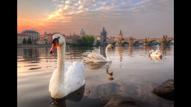 Vincenzo Maltempo plays Lyapunov's Lesghinka, Op 11 No 10 смотреть онлайн