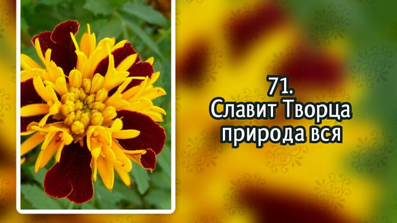 Гимны надежды 71 Славит Творца природа вся (-) смотреть онлайн