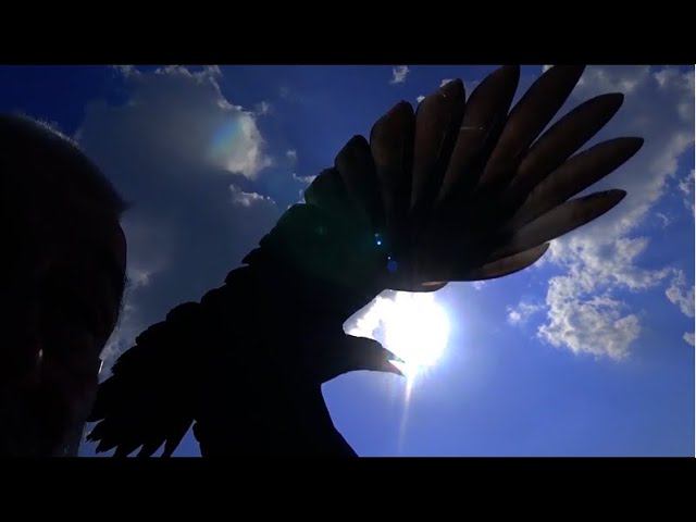 А давайте разберемся. смотреть онлайн