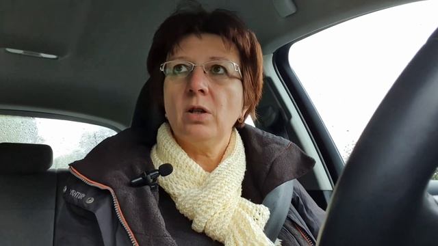 Опять медовик/другой график работы/когда же в лес за грибами