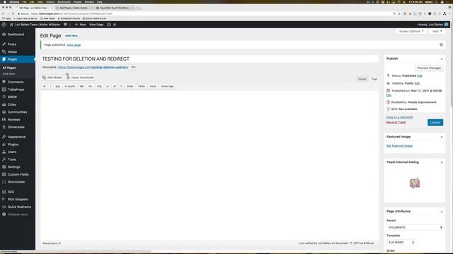 WordPress Redirect Plugins And How To Use Them In 2018 [6:46]