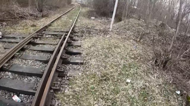 МЕНЯ ПОСАДЯТ В ТЮРЬМУ! ЭТО КОНЕЦ… я в розыске смотреть онлайн