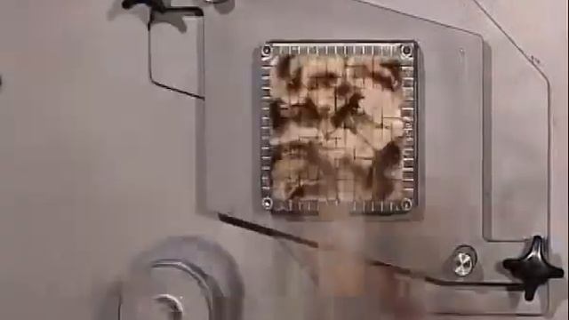 Нарезка грибов кубиком 7х7х7 мм на многофункциональном аппарате для нарезки Foodlogistik_ROVABO смотреть онлайн