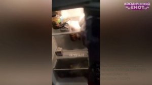 Я РЖАЛ ДО СЛЕЗ | 10 МИНУТ ЛУЧШИХ ПРИКОЛОВ Смешные видео - Лучшие Русские Приколы