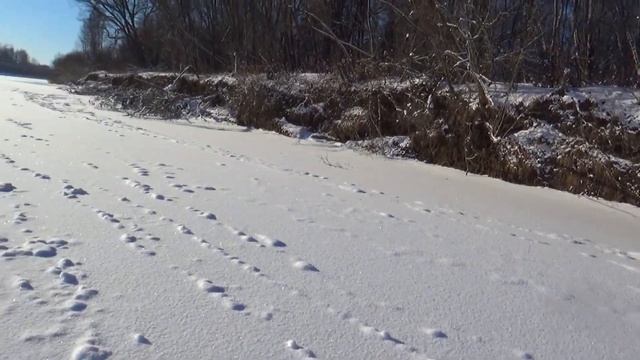 Экстремальный поход по первому льду реки. Провалился под лед! смотреть онлайн