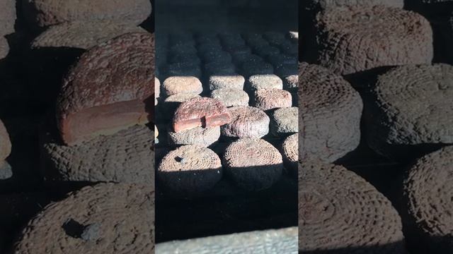 Адыгейский сыр. Копчение в горах. Коптим мясо. смотреть онлайн
