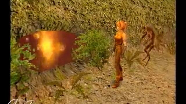 Darkened Skye GameCube Gameplay - Character dialogue is смотреть онлайн