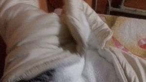 Как правильно стирать детскую куртку?