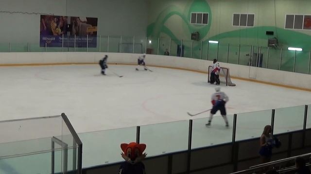 ХК Россошь-ХК Брянск 2период 26.10.16г смотреть онлайн