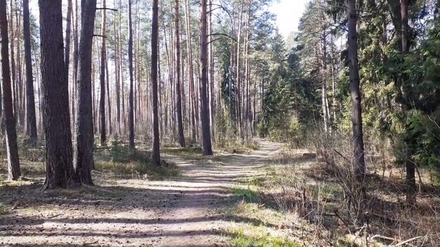 Унеча.Парк 2020. Родник за озером. смотреть онлайн