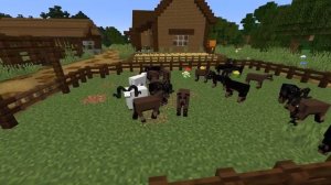 ТопОтНя//10 ЛУЧШИХ МОДОВ НА ЖИВОТНЫХ В МАЙНКРАФТЕ