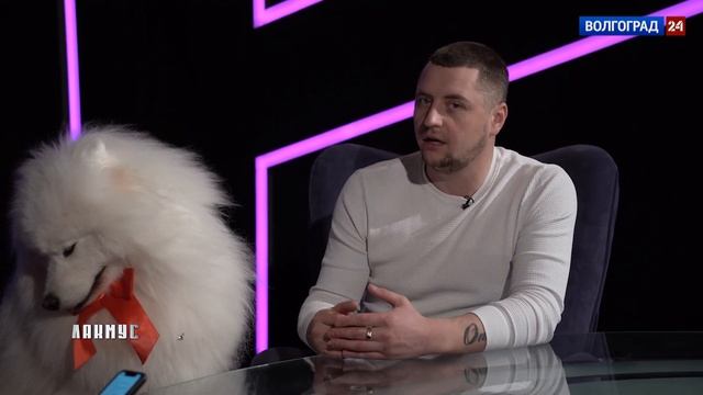 Лакмус. Дрессировщик Дмитрий Соболев: как живут самоеды в цирке. 27.12.21 смотреть онлайн
