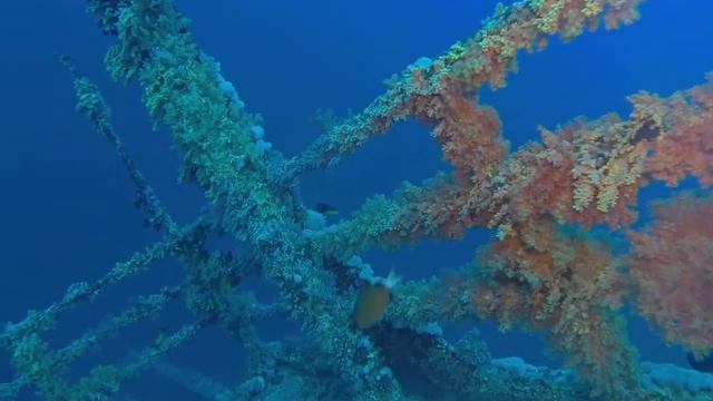 Дыхание Глубины...