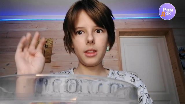 Выращиваю орбизы! Что с ними случилось? смотреть онлайн