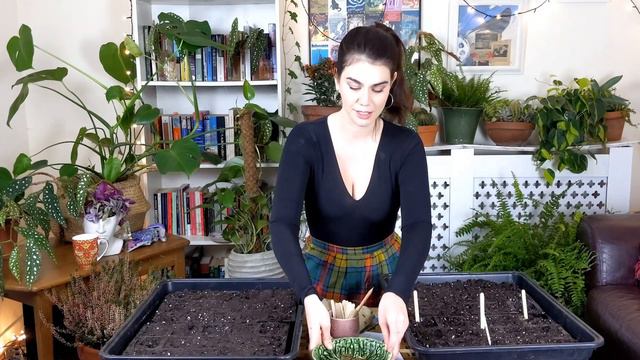 Sow With Me | Autumn Seed Sowing in Preparation For Next Allotment Season | Lucy Bloom смотреть онлайн