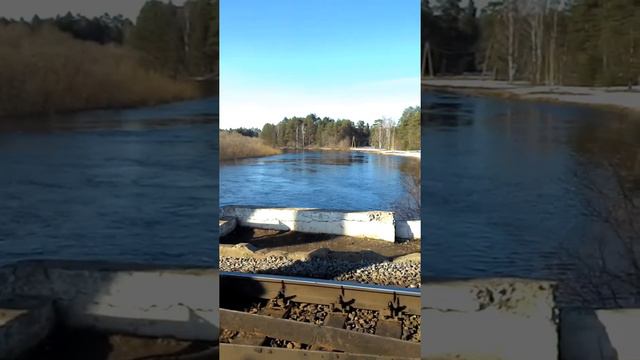 Река Волчина, железнодорожный мост разлив смотреть онлайн