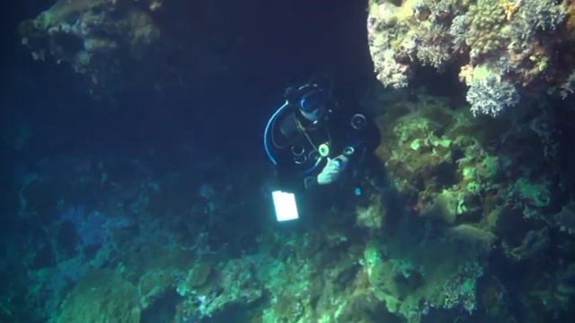 Острова Brothers смотреть онлайн