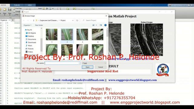 Sugarcane Leaf Disease Detection Using Image Processing Matlab Code Plant Leaf Disease Prediction смотреть онлайн
