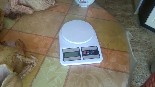 КУРЫ ГОЛОШЕЙКИ И РЕДБРО, ВОЗРАСТ 4.5 МЕСЯЦА, ВЗВЕШИВАНИЕ ТУШЕК смотреть онлайн