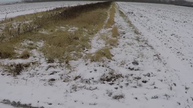 Охота на Зайца по первому снегу! 2023-2024г. смотреть онлайн