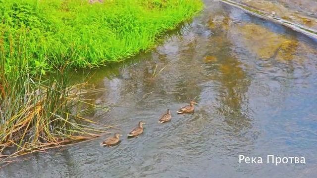 Город Верея: достопримечательности. Фотоочерк Михаила Акимова смотреть онлайн