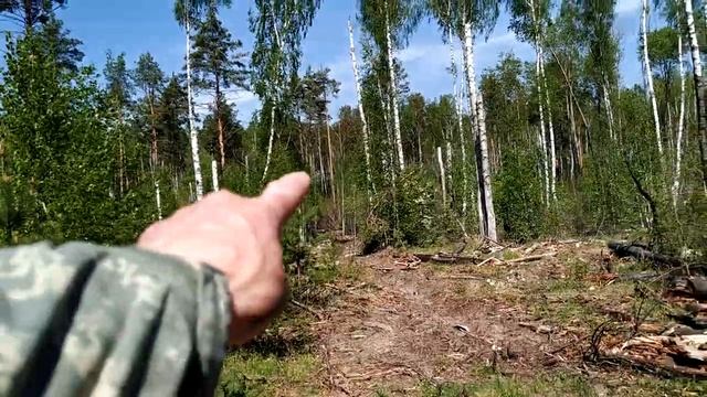 Ходил в лес , проверял как всё растёт смотреть онлайн