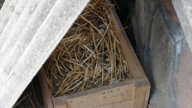 ИНДОУТКИ - ответы на ваши вопросы смотреть онлайн