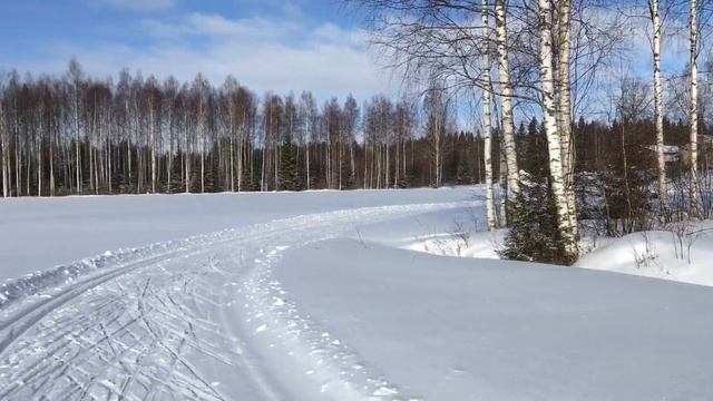 Финляндия, Коли: тестирование лыжных трасс смотреть онлайн