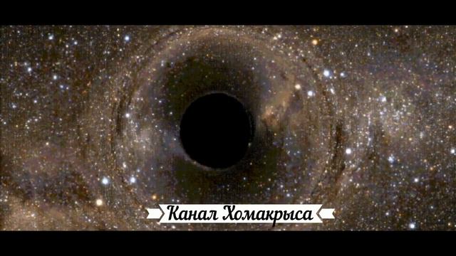 ▶️Ультразвук от тараканов  Как избавиться от тараканов в квартире навсегда  Уничтожение тараканов