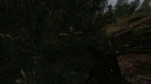 #Тайник Кости на Кордоне