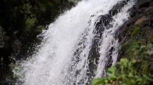 Золотое кольцо Алтая.