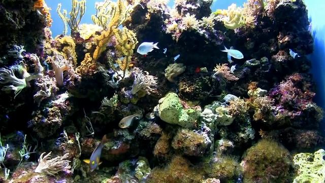 Признаки замершей беременности. смотреть онлайн