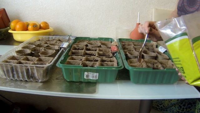 №10 Про Дачу. Посев семян. Перец сладкий. Перец горький. смотреть онлайн