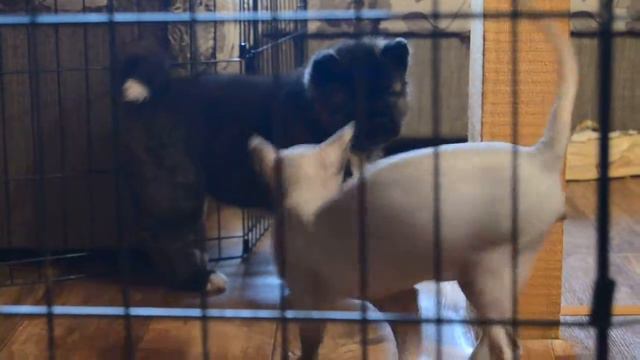 DSC 8003 смотреть онлайн