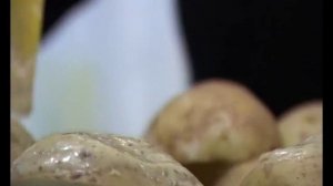 Мясной рулет в аэрогриле