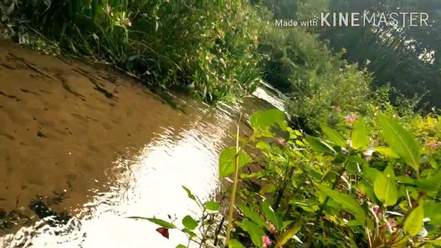 Прогулка по нашему городку. Жизнь в Германии. смотреть онлайн