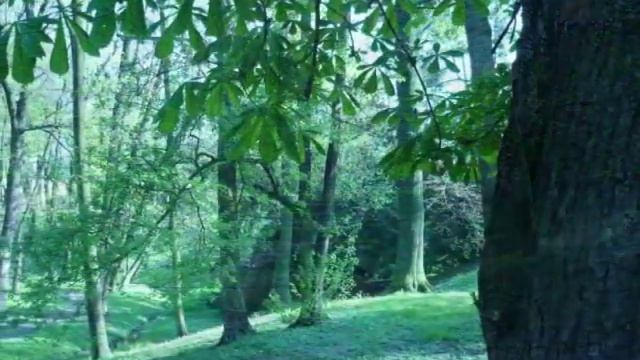 Brzeg, Бжег- город наших снов смотреть онлайн