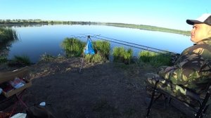 Как ловить карпа на пеллетс. Карп на флэт-метод фидер