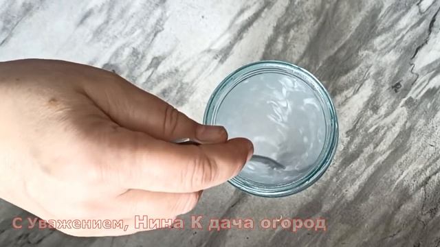 МАЛО КТО ПРИМЕНЯЕТ ДЛЯ РАССАДЫ ЭТИ ТАБЛЕТКИ, А ЗРЯ! СУПЕР СРЕДСТВО ПРИ ПИКИРОВКЕ ТОМАТОВ смотреть онлайн