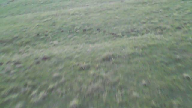 Syma x5 SC Free Fly смотреть онлайн